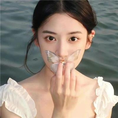 米格尔湖畔的鲨鱼警报
